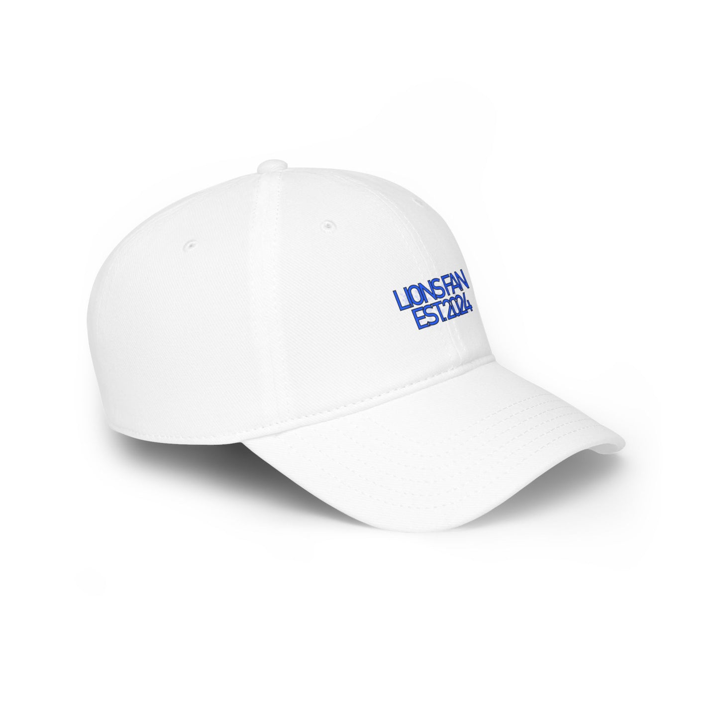 Simple Detroit Lions Fan Hat 2024