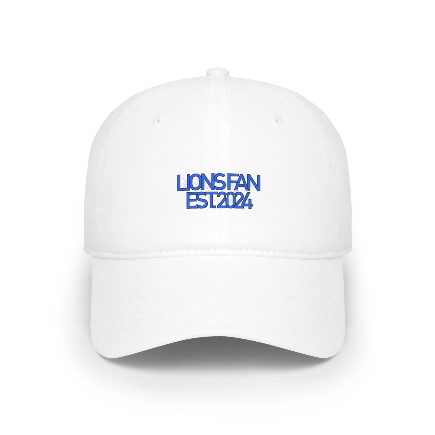 Simple Detroit Lions Fan Hat 2024