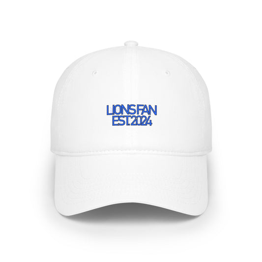 Simple Detroit Lions Fan Hat 2024