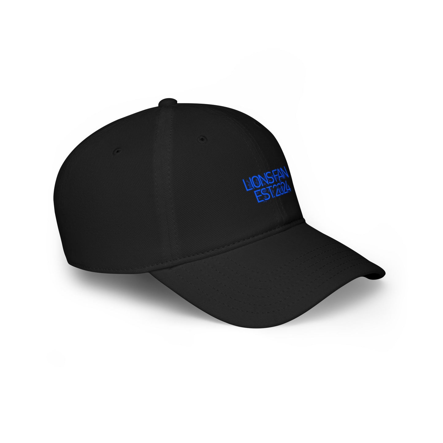 Simple Detroit Lions Fan Hat 2024