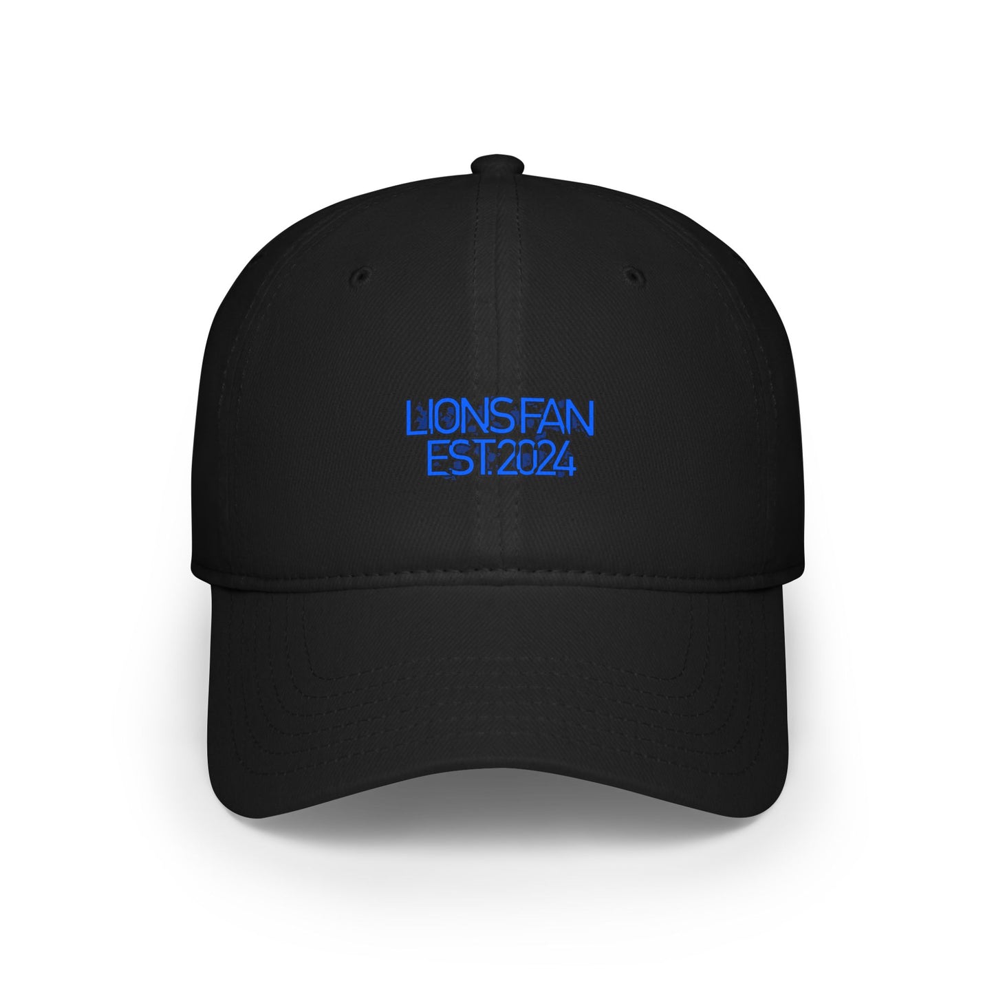 Simple Detroit Lions Fan Hat 2024